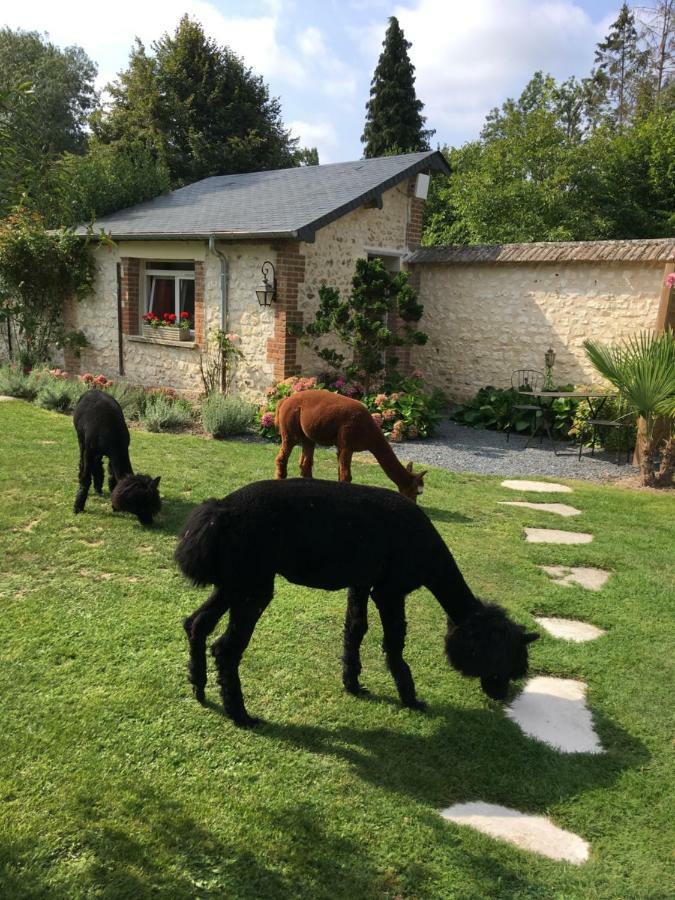 L'oreade Affittacamere Amfreville-sur-Iton